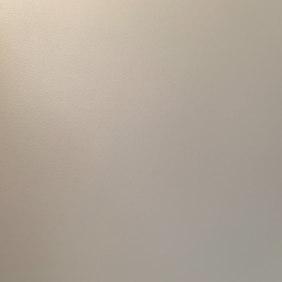 tamibrad1027